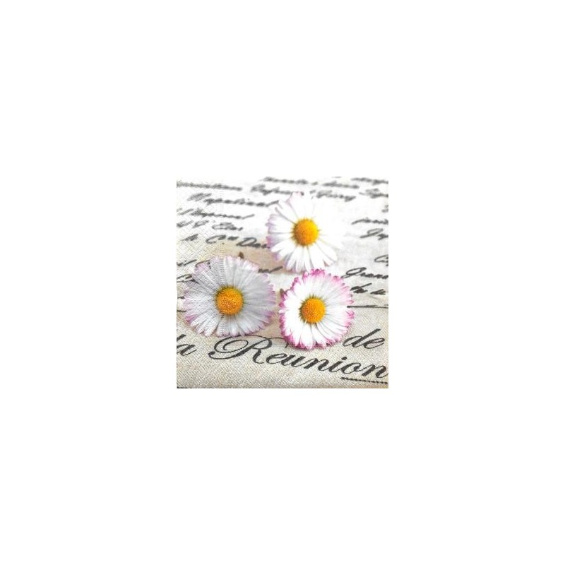 Serviette en papier motifs : "La Réunion" Pâquerette Marguerite fleur (vendue à l'unité)