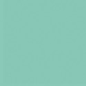 Mousse Thermoformable vert Menthe 20x30cm 10540 212