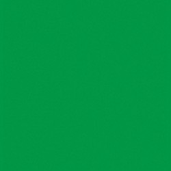 Plaque de Mousse Thermoformable vert prairie 20 x 30cm
