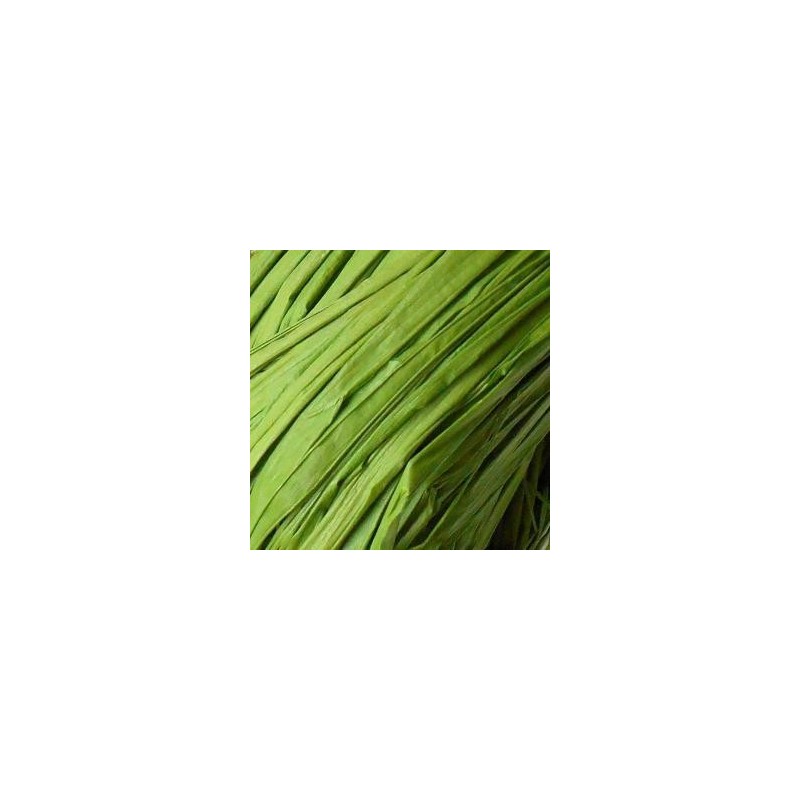 Raphia Naturel Ruban Coloris Vert Clair (50 gr)