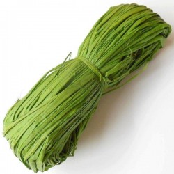 Raphia Naturel Ruban Coloris Vert Clair (50 gr)