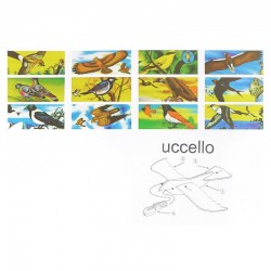 Oiseau Planeur Multicolore en Styro pour  Enfants (23 X 13 cm) (vendu à l'unité)