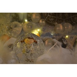 Guirlande mini fil de lampes à Piles LED, Blanc CHAUD, 27 cm, argent, 1pièce