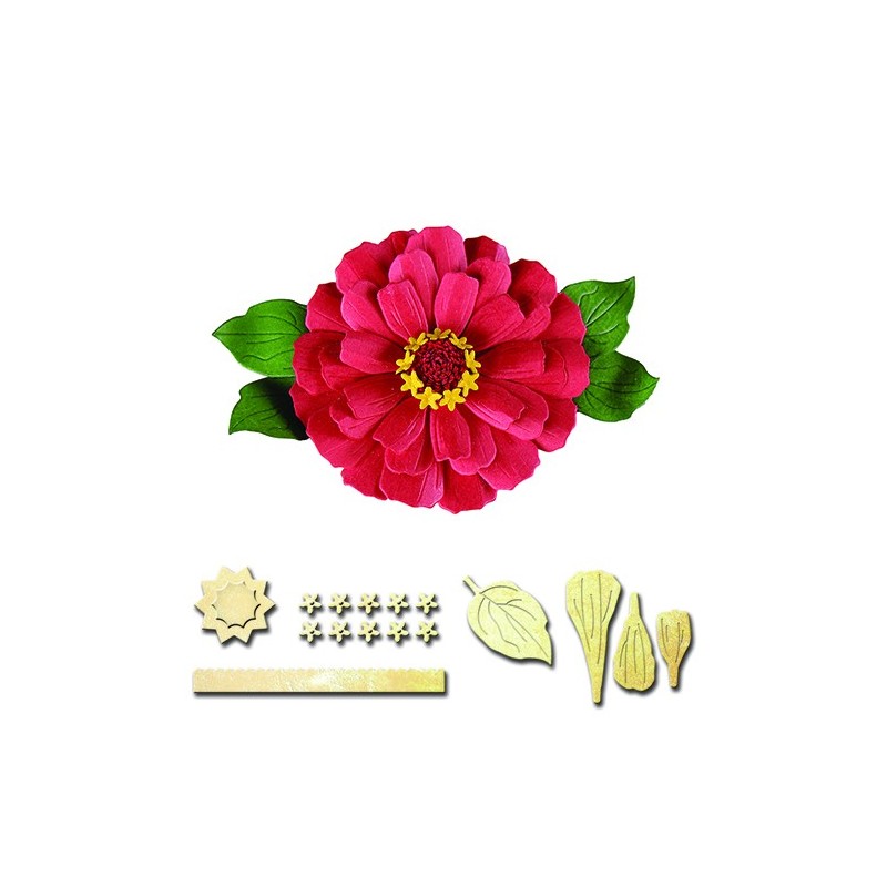 Matrice de Découpe fleur chrisanthème et ses feuilles, spellbinders 5 éléments, diamètre fleur environ 6 cm Matrice de Découpe fleur chrisanthème et ses feuilles, spellbinders 5 éléments, diamètre fleur environ 6 cm
