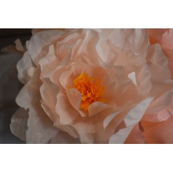 Papier crépon 4 Mini Rouleaux couleurs Rose Doré/Poudré 4,6x25m