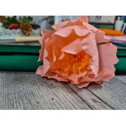Papier crépon 1 Mini Rouleau couleurs Rose Pastel 4cmx24m