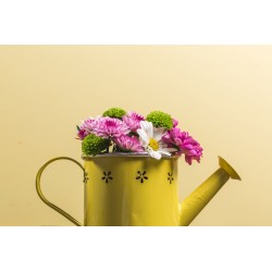 Brique Mousse pour fleurs fraîches et compostions Florales