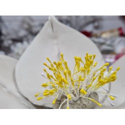 Pistils fleur tête jaune s/ tige lot 25 double création de fleurs 6 cm