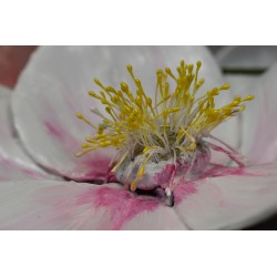 Pistils fleur tête jaune s/ tige lot 25 double création de fleurs 6 cm