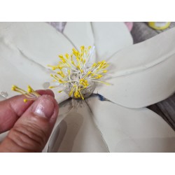 Pistils de fleur lot 25, blanc perlé, diy fleurs, 6 cm