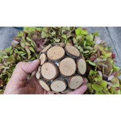 Rondelles de bois naturel mini disques Ø 1,5 à 3 cm