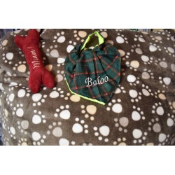 Pinces Wonder Clips Mix grandes & petites 10 pièces