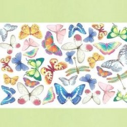 Plaque de Mousse thermoformable Imprimé Papillons (20 cm x 30 cm)